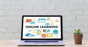 Best Skills for Online Income in Bangladesh